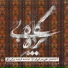 Ali Bahrami Fard, Farshid Bozorgy