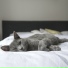 Spa, Relaxing Music, Spa Music Relaxation