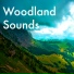 Nature Sounds Radio