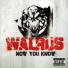 Walrus
