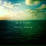 David Brymer
