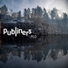 Publiners