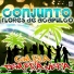 Conjunto Flores de Acapulco