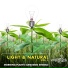 Organic Spark