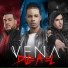 Vena