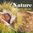 Best Relaxation Music