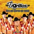 Los Tigrillos
