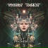 Transient Disorder, X-Side