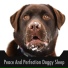 Dog Chill Out Music