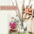 Relaxing Spa Music Zone
