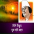 Fatema Amin Lavli