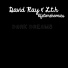 L.t.h(lifetimehomies), David Ray