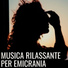 Michele Zeno