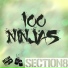 100ninjas