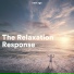 Vital Energy Duo & Calming Rainforest Sound