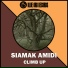 Siamak Amidi