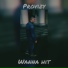 Provizy