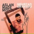 Mehrzad Amirkhani