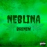 Brenin