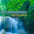 The Troubadours