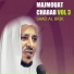 Saad Al Brik