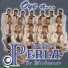 Banda Perla de Michoacan