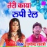 Pushpendra Shastri