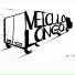 VEÍCULO LONGO