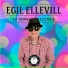 Egil Ellevill