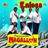 Organización Magallon