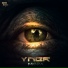 Yner