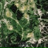 phorech