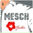 Mesch