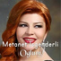 Metanet Isgenderli