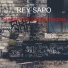 REY SAPO