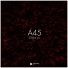 A45