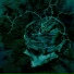 Nachtmystium