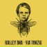 Halley DNA