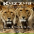 Kozzoa