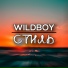 WILDB0Y