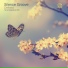 Silence Groove