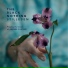 The Black Nothing, Anders Filipsen