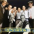 Os Mirins