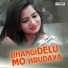 Saina, Brundaban Meher