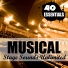 The Sound of Musical Orchestra