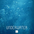 Underwater Sounds of Nature