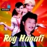 Roy Hanafi