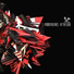 Hybrid Machines, Miirage