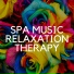 Spa Shock