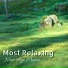 Meditation Music Masters